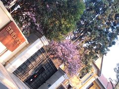 -翠湖南路65号宅院