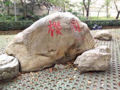 -武汉大学-樱园
