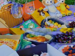 -上海共青森林公园