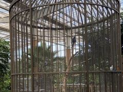 -南宫五洲植物乐园