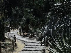 -深圳仙湖植物园