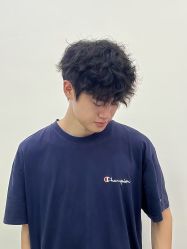 -YESIDO椰岛造型
