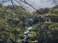 -岳西天峡风景区