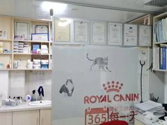 -乐琪宠物医院·犬猫专科·骨外科·急重症
