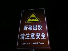 -紫金山山顶公园