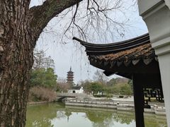 -红梅公园