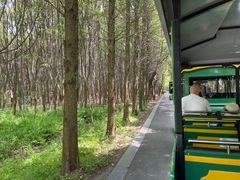-同里国家湿地公园