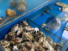 -老孟拉面海鲜餐厅