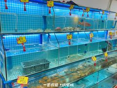 水产区-聪辉同安老美食饭店(大元路店)