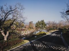 -雅达·阳羡溪山小镇中心
