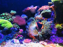 -成都浩海立方海洋公园