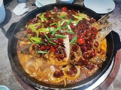 -老板恋上鱼(恒隆广场店)