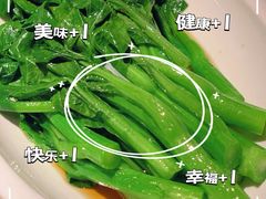 -佬肥猫(国华广场店)