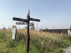 -盐城丹顶鹤湿地生态旅游区