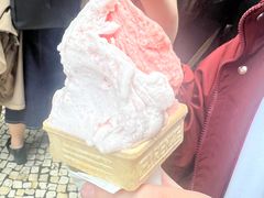 -柠檬车露(卖草地店)