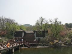景点-白马涧龙池景区