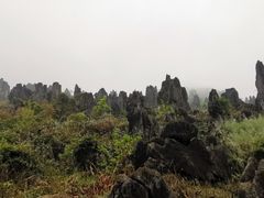 -泥凼石林风景区