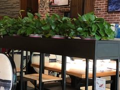 大堂-姜君·千岛湖鱼头馆(浦东大道店)