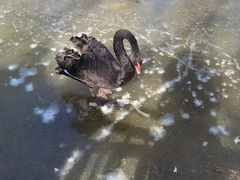 -济南野生动物世界