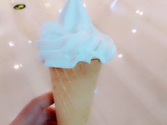 -天鹅湖体育公园