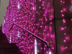 -重庆市江北嘴中央商务区中央公园