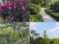 -杭州城北体育公园