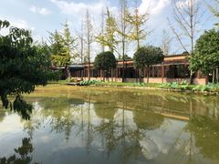 -洪湖家庭农场·团建·露营·会议