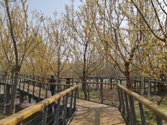 -东郊湿地公园