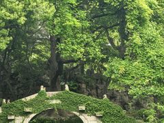 -绮园景区