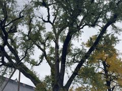 -溪口-滕头旅游景区