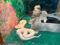 -上海大自然野生昆虫馆