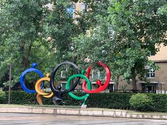 -沈坚强游泳俱乐部(长征分部)