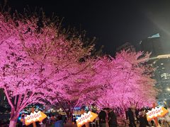 -西北湖绿化广场