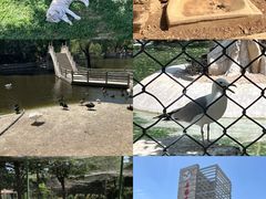 -石家庄市动物园