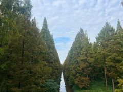 -黄海国家森林公园