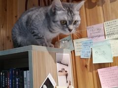 -隅cafe(傅厚岗店)
