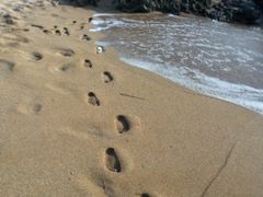 -白沙湾海滩