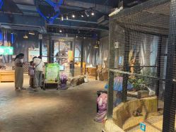 -酷嗒动物文化乐园(cutezoo西溪乐天城店)