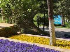 -青藏高原野生动物园