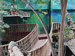 -呀路古热带植物园