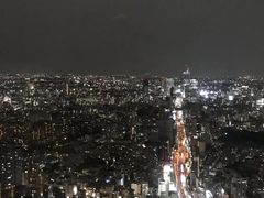 -六本木新城展望台(东京城市景观)