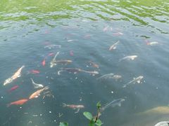 -参仙谷生态旅游度假区