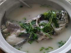 -天乐农家鱼头王(天目湖店)