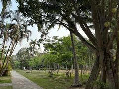 -西双版纳傣族园