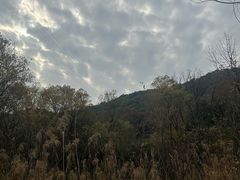 -西湖风景区-江洋畈生态公园
