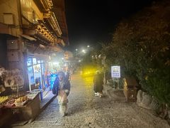 -顺顺小吃(独克宗古城店)