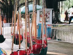 -松山湖梦幻百花洲