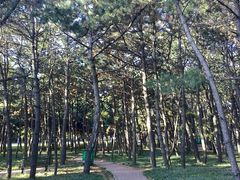 -山东大学(威海校区)