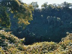 -海口火山口国家地质公园