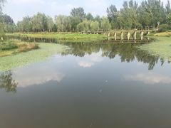 -东郊湿地公园